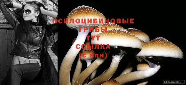 PSILOCYBIN Богданович
