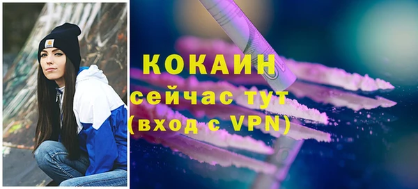 амф Бородино