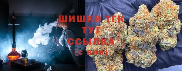 PSILOCYBIN Богданович