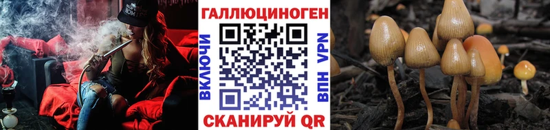 хочу   Гремячинск  Галлюциногенные грибы ЛСД 